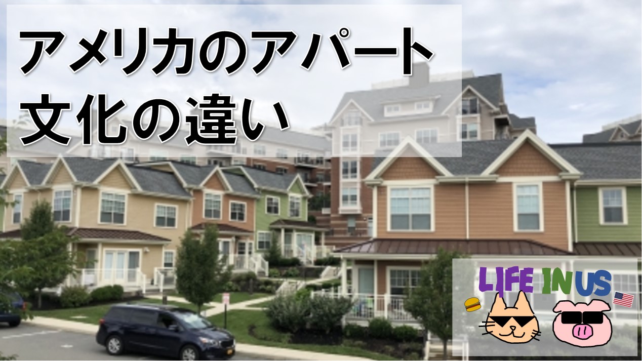 アメリカ生活 アパート生活で発見した日本との文化の違い Nekobuta